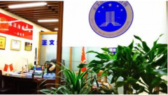 律师法律咨询服务 婚姻维权 经济纠纷 民事诉讼 刑事辩护