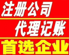 提供无地址注册公司代理记账纳税申报股权变更公司注销