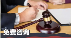 专业律师咨询 刑事辩护/合同纠纷/经济纠纷/离婚/工伤/公司