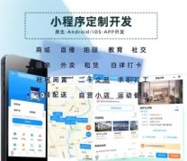 微信/抖音小程序开发，APP开发，网站设计开发，系统软硬件，